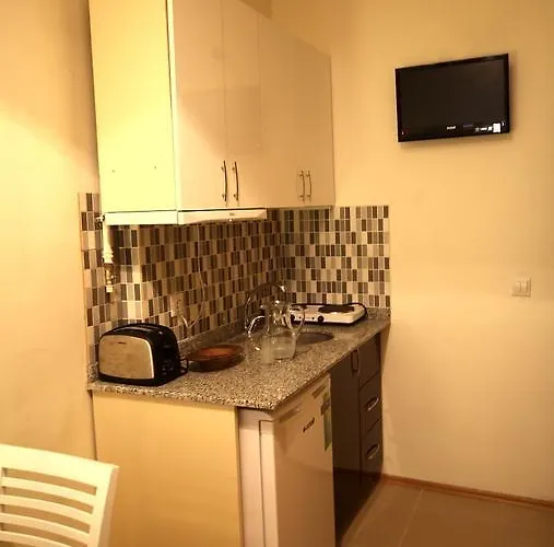 Appartement Lyon Istanboel